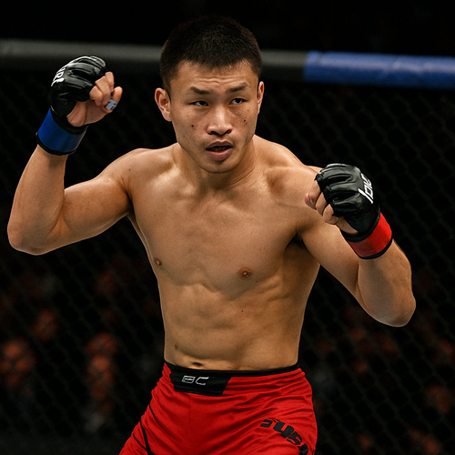 UFC-дағы қытайлық жауынгерлер: